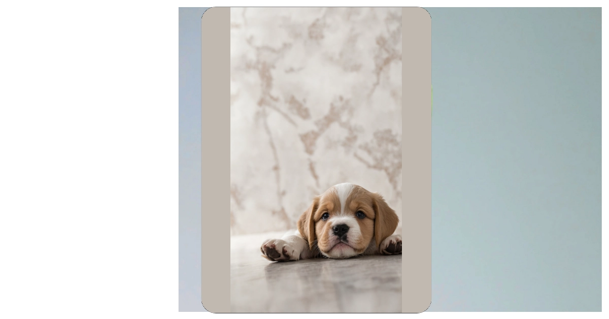 12 Puppy Wallpaper Ideas to Brighten Your Screens